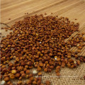 Good quality 2017 red sorghum wholesale price